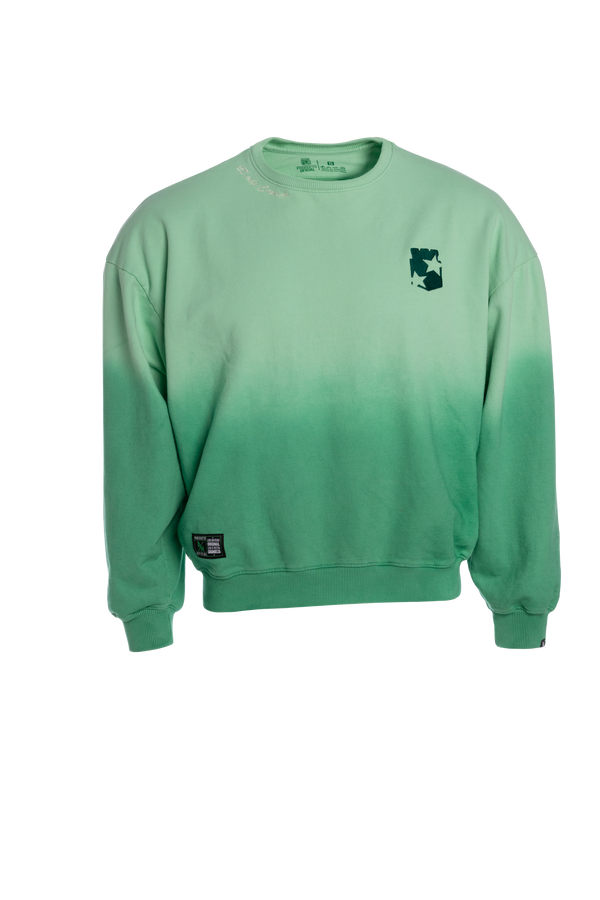 BUZO DEGRADÉ VERDE